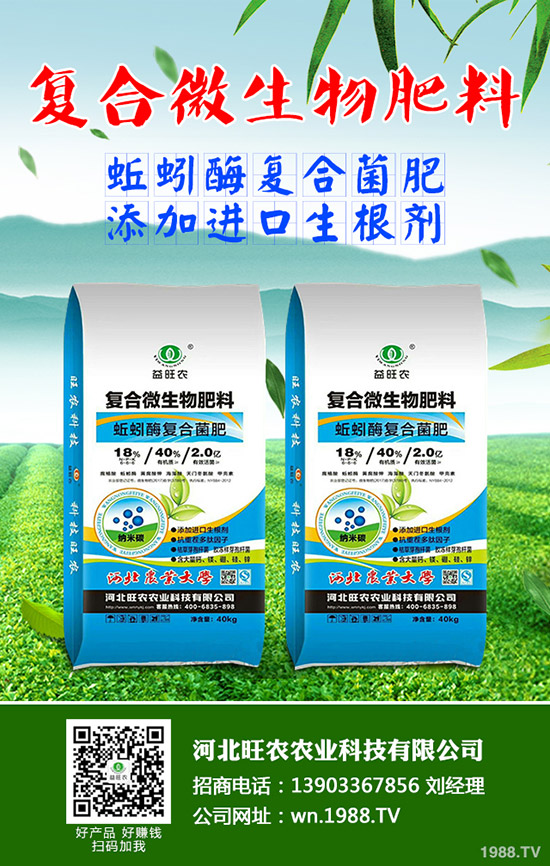 吃菠蘿蜜有什么好處，菠蘿蜜的功效與作用有哪些？