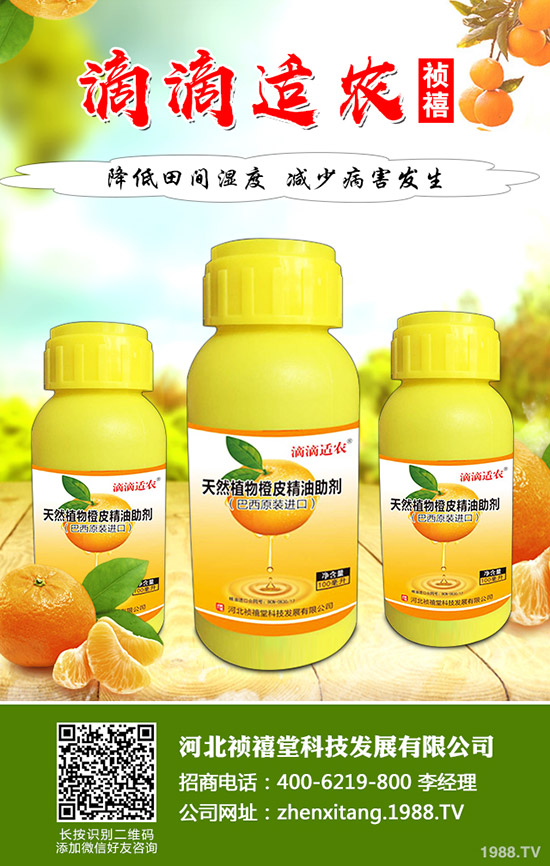 ���˿�ή����ʲôԭ���������˿�ή�����δ�ʩ����Щ��