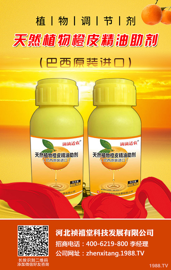 ��픿����ô�Nֲ����β��ܸ߮a(ch��n)���գ�