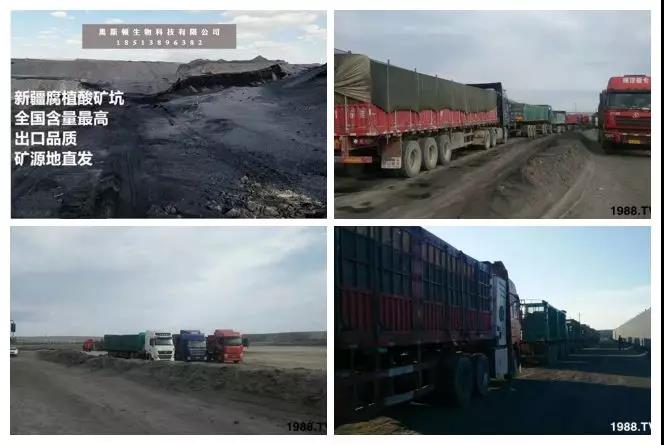 礦源黃腐酸鉀——精品肥！1公斤=8噸有機(jī)肥！新疆源頭直發(fā)！??！