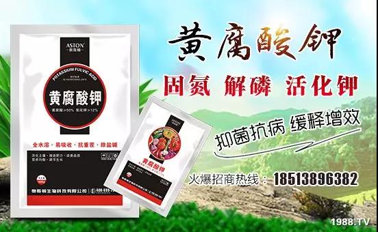 礦源黃腐酸鉀——精品肥！1公斤=8噸有機(jī)肥！新疆源頭直發(fā)?。?！