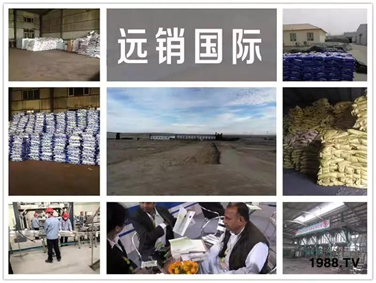 礦源黃腐酸鉀——精品肥！1公斤=8噸有機(jī)肥！新疆源頭直發(fā)?。?！