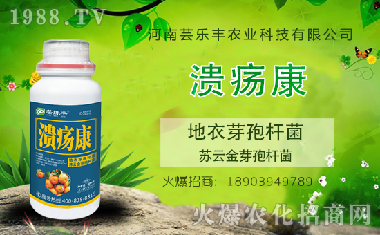 �����|���S�ɹ����v1988.TV���_���r(n��ng)�Y�N����������