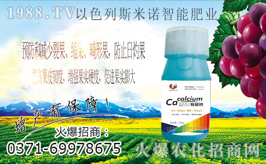 ��ɫ��˹���Z�ɹ����v�r(n��ng)���W(w��ng)���M܊�W(w��ng)�j(lu��)�������I(l��ng)����