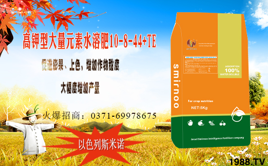 ��ɫ��˹���Z�ɹ����v�r(n��ng)���W(w��ng)���M܊�W(w��ng)�j(lu��)�������I(l��ng)����