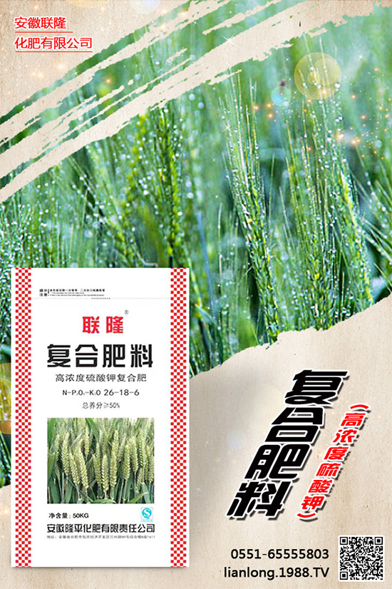 ���r(n��ng)���W(w��ng)ϲӭ�����ѣ��y�ְ���(li��n)¡����ؔ��֮·��