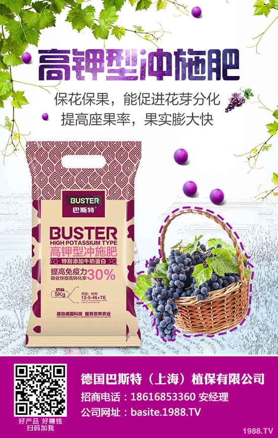 西葫蘆為什么會(huì)化瓜，西葫蘆化瓜原因及防治匯總！