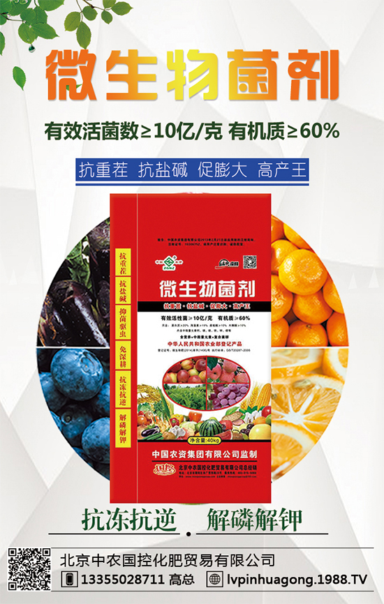 �������r(n��ng)�ٶȔy��1988.TV���y���ل�(chu��ng)���x�ͣ�