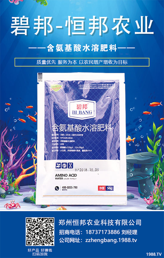 秋菠菜種植如何提高發(fā)芽率？提高菠菜發(fā)芽率措施！