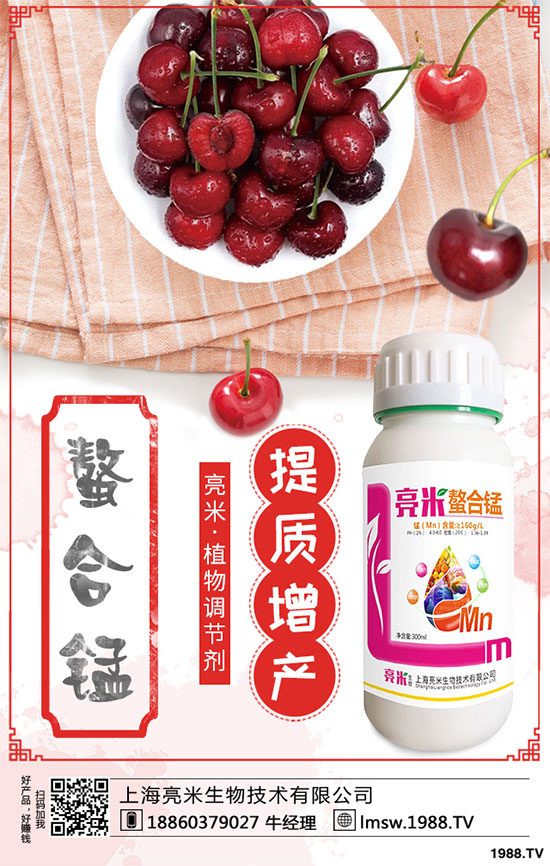 黃秋葵有哪些營養(yǎng)價值？黃秋葵高產(chǎn)栽培技術(shù)