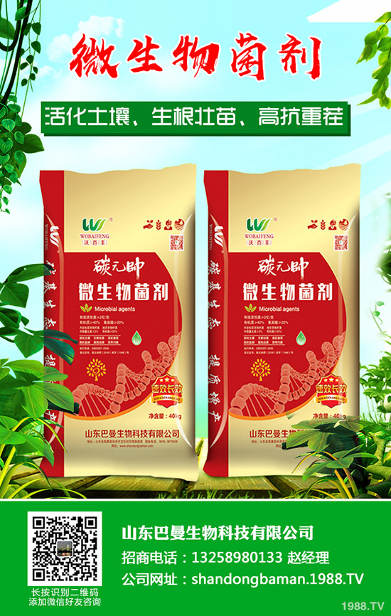     復(fù)合肥行業(yè)拓開新市場(chǎng)！2019年11月下旬復(fù)合肥行情走勢(shì)分析！