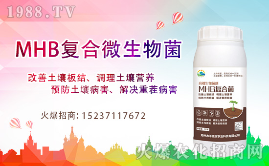 ����ľ�̼ь��׺�1988.TV���_���W(w��ng)�j(lu��)������ģʽ��