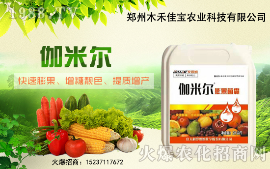 ����ľ�̼ь��׺�1988.TV���_���W(w��ng)�j(lu��)������ģʽ��