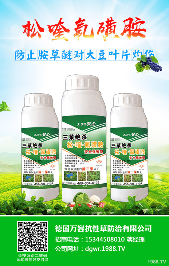�S��ʲô�r�g�Nֲ���S���ķNֲ��������Щ��