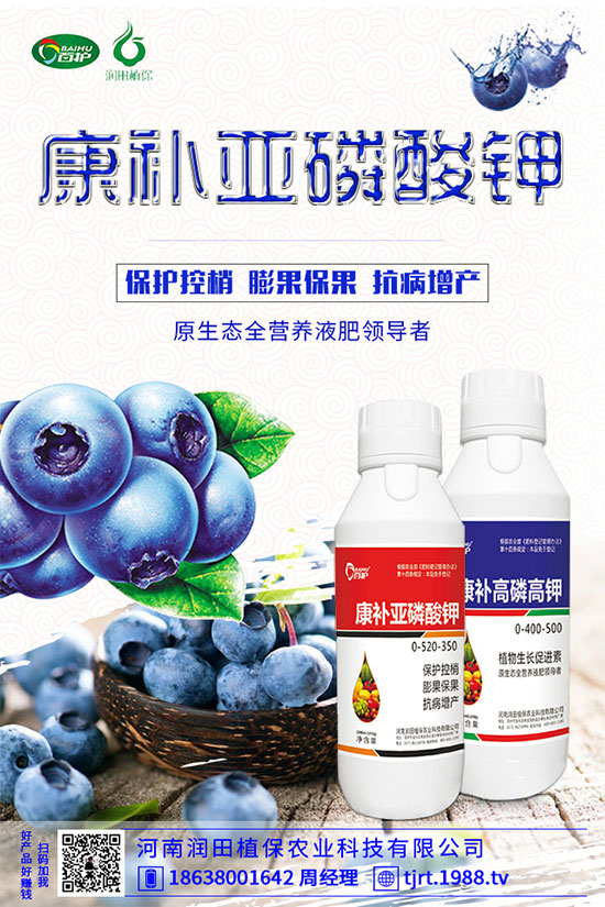 地老虎有什么危害特點？馬鈴薯地老虎的防治措施！