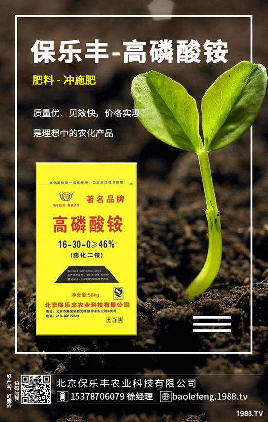 蘿卜病毒病發(fā)生規(guī)律有哪些？蘿卜病毒病防治要點(diǎn)！