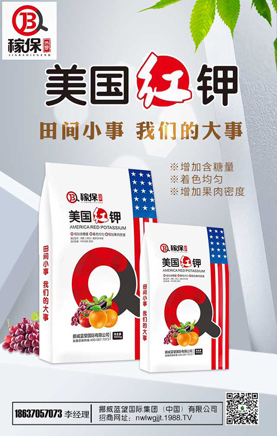 瑞香花養(yǎng)殖方法有哪些？瑞香花養(yǎng)殖注意事項！