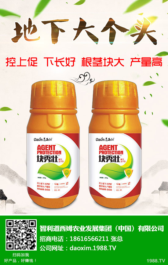 蘿卜得了炭疽病怎么辦？蘿卜炭疽病癥狀和防治方法！