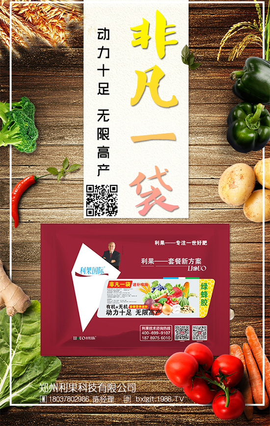 冬天大白菜如何儲(chǔ)存？冬季大白菜保鮮方法