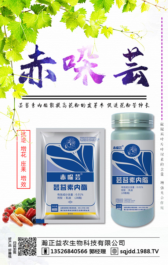 ���t����ʲô����������t��������ķ��η���