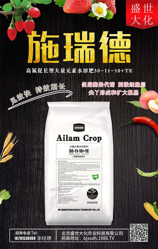 ʯ����ʲô�I�B(y��ng)�rֵ��ʯ������Щʳ�ù�Ч��