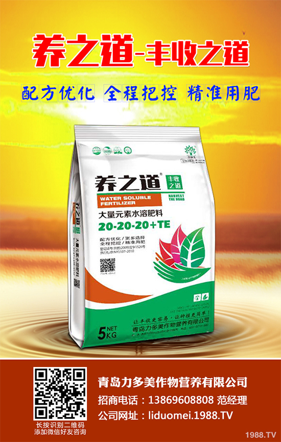 ��Ƥ�ɼٻ���զ��������Ƥ�ɼٻ��Q��ʩ