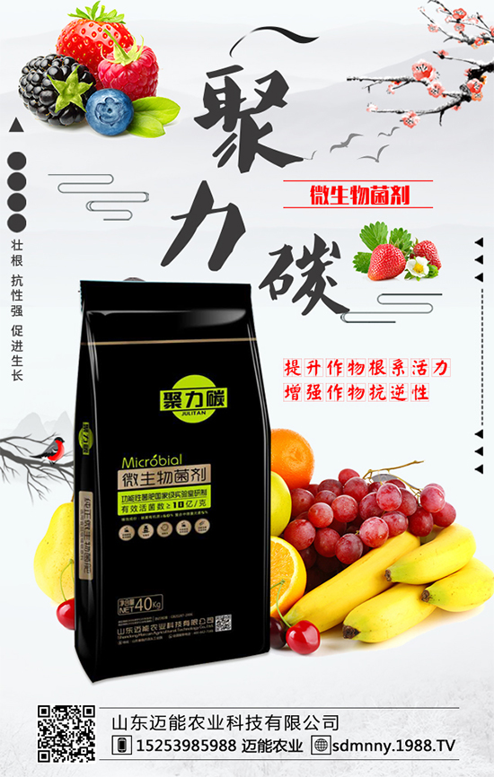 柿子各部位的營養(yǎng)價值，柿子保鮮的方法有哪些？