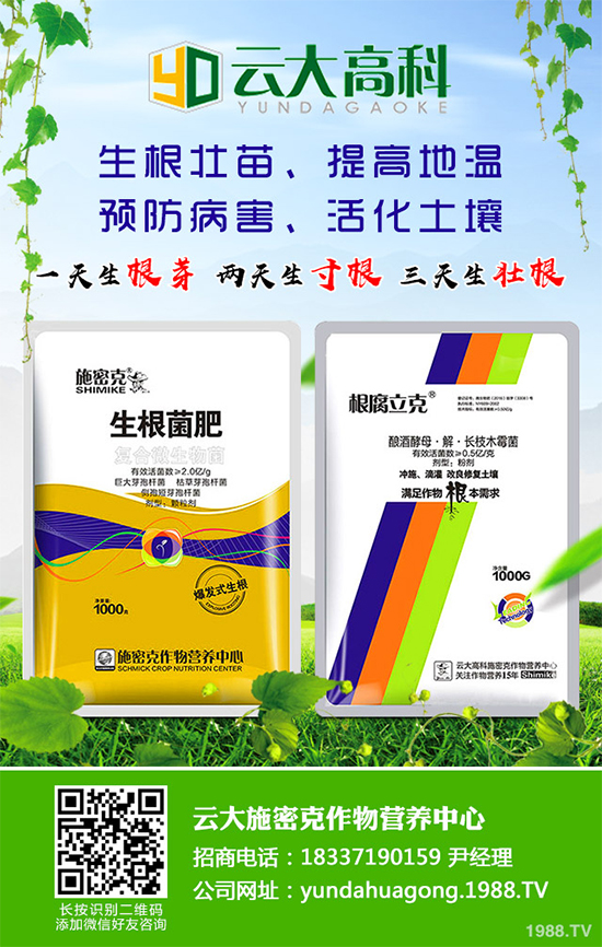 ��������ֲ��Ƥ�Ɇ�����Ƥ�ɶ�����ֲ����