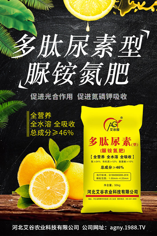 ���؃r����m(x��)�ϝq���������س��S�r��һ�[2019.11.29