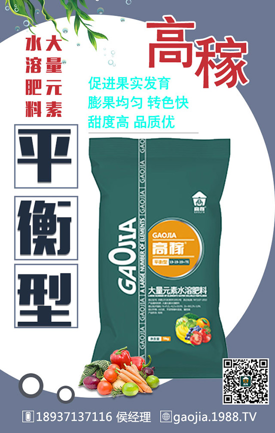 ͬ�ӵĻ�����ͬ�ӵİ��b����ͬ�ăr(ji��)����ԭ�򾿾������