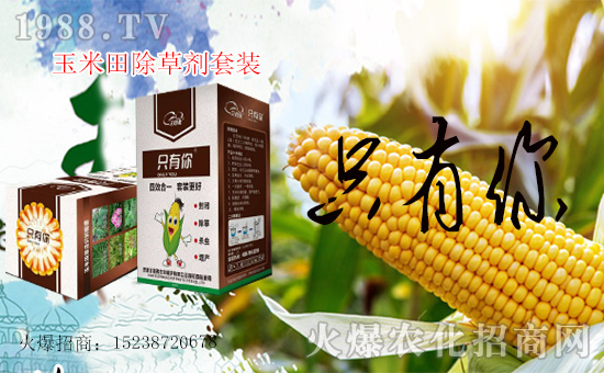 1988.TVϲӭ���������������ﱣ�o(h��)�_���W(w��ng)�j(lu��)���������̣�