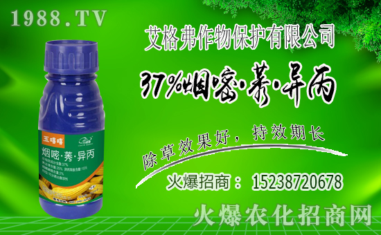 1988.TVϲӭ���������������ﱣ�o(h��)�_���W(w��ng)�j(lu��)������������