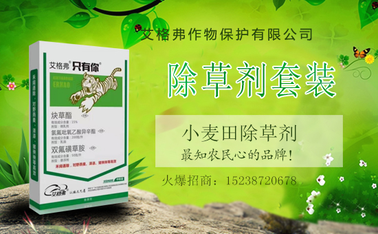 1988.TVϲӭ�����ѣ��������ﱣ�o(h��)�_���W(w��ng)�j(lu��)������������