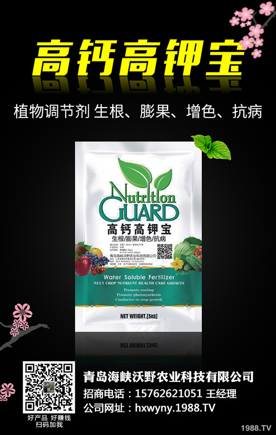 油葵種植前需要準(zhǔn)備哪些工作，油葵種植技巧有哪些？