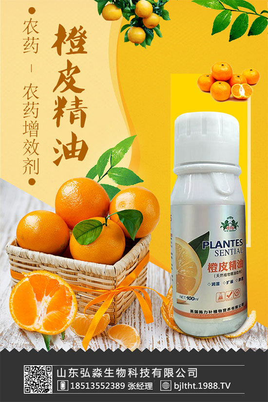 ɽ�|�����ٶȔy��1988.TV���y�ֹ���(chu��ng)��(zh��n)�������Aδ����