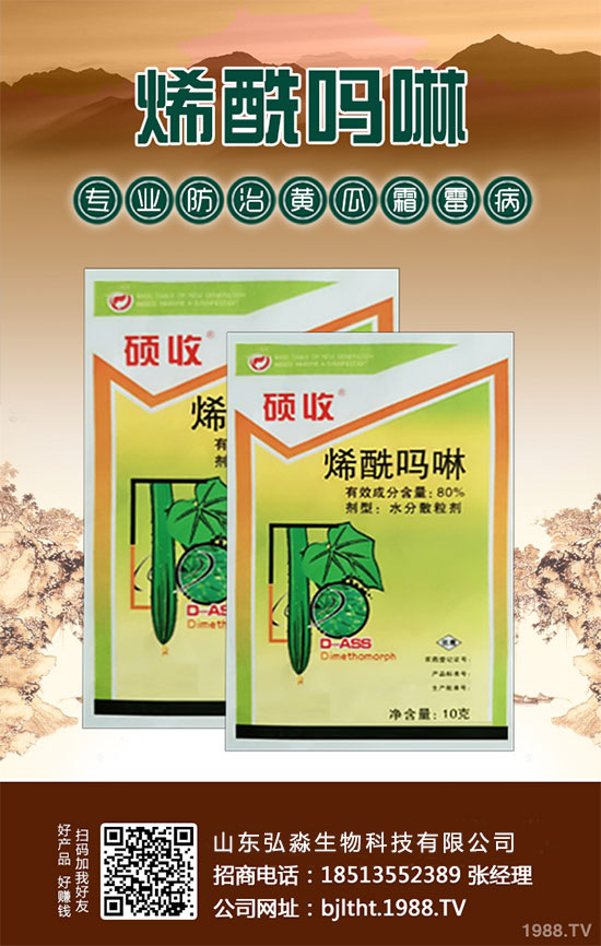 ɽ�|�����ٶȔy��1988.TV���y�ֹ���(chu��ng)��(zh��n)�������Aδ����