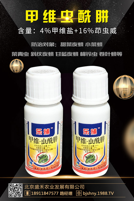     ��������`���Ҙ�(bi��o)��(zh��n)������xُ��ُ�Iע���������Щ��