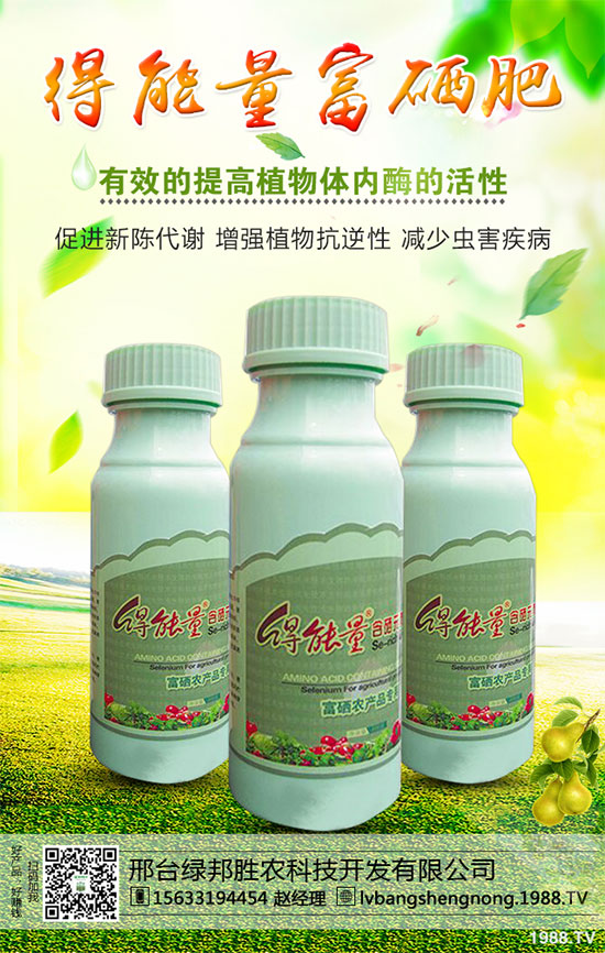 ���_�G���ٶȔy��1988.TV���_�ؾW�j�����¾��棡