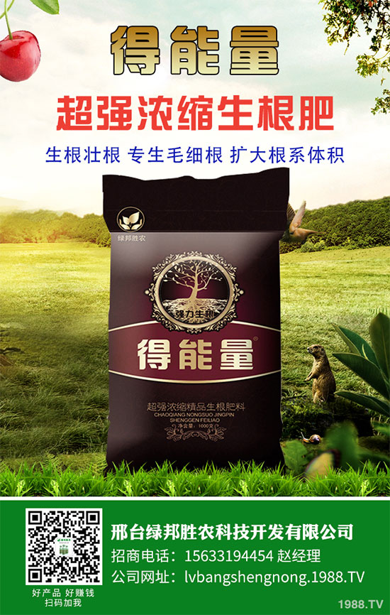 ���_�G���ٶȔy��1988.TV���_�ؾW�j�����¾�����