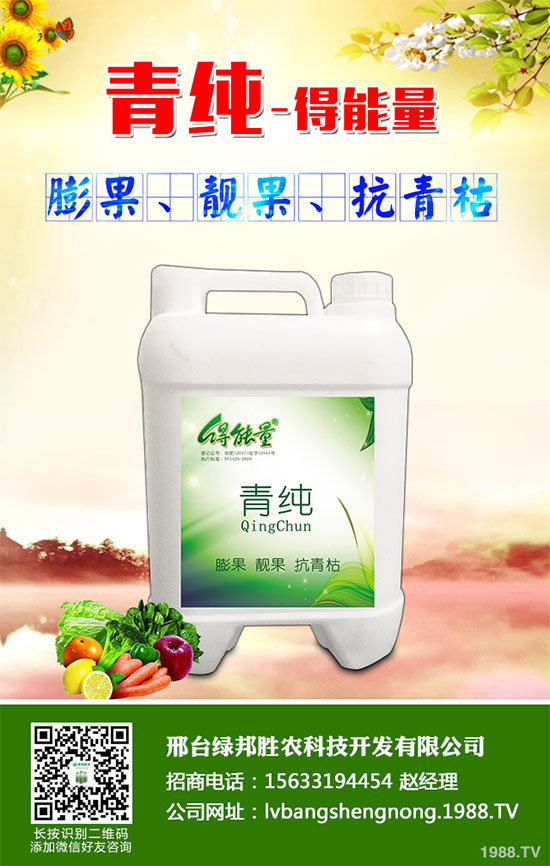 ���_�G���ٶȔy��1988.TV���_�ؾW�j�����¾�����