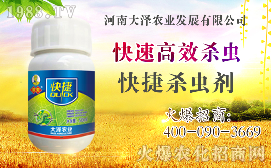 �������\�l(f��)չ�����ϴ���r(n��ng)�I(y��)�ٴκ��s1988.TV