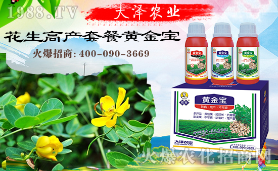 �������\�l(f��)չ�����ϴ���r(n��ng)�I(y��)�ٴκ��s1988.TV