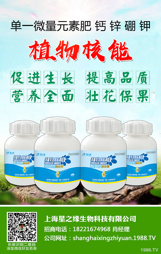 ѿ�����ӷNֲ��ѿ�˷Nֲ���g���˽���٣�