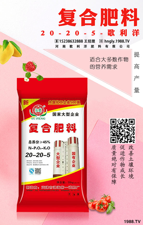     ������ټق����ġ����������ʷʁ��q�桱