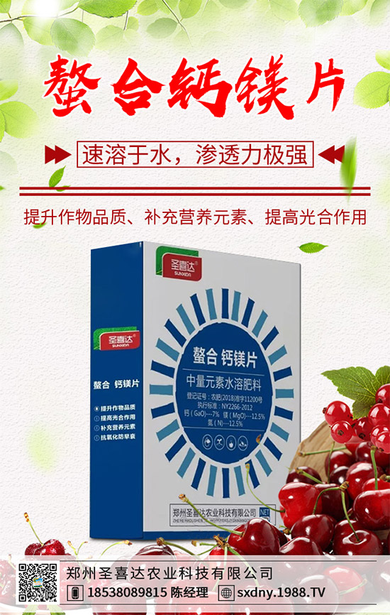 洋薊有哪些營(yíng)養(yǎng)價(jià)值？洋薊的營(yíng)養(yǎng)價(jià)值及功效作用