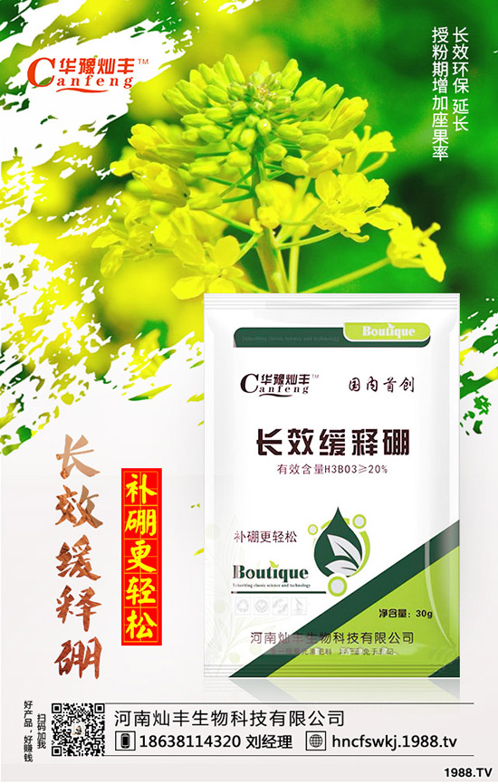 ��������ô��������Щԭ���´�������