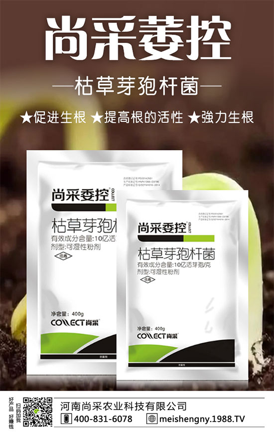 �����ݮ���ɼ����������������ݮʩ��Ҫ�c��