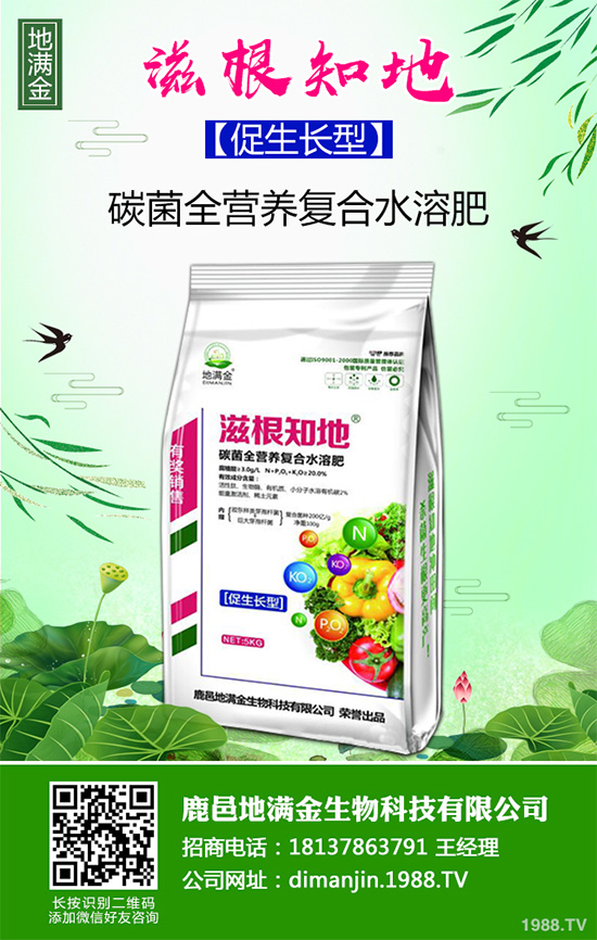 ���G�Ӷ����Xһ����2020�����G�ӷNֲǰ����Ч�����