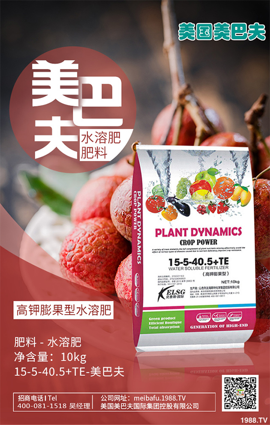 芽苗菜種植前景如何？芽苗菜的種植方法！