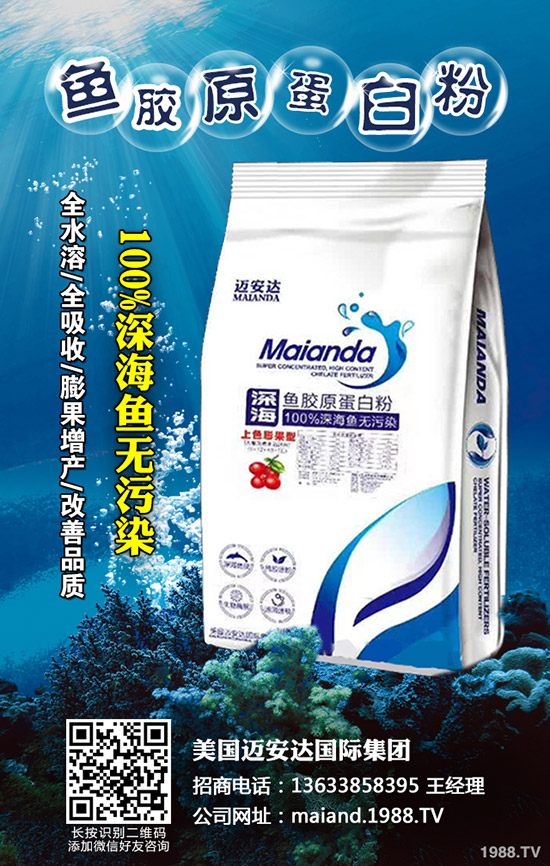     2020年柑橘苗價(jià)格多少錢(qián)一棵？柑橘種植前景怎么樣？賺錢(qián)么？